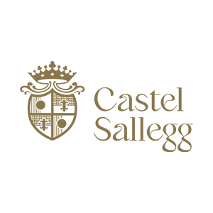 logo castell sallegg